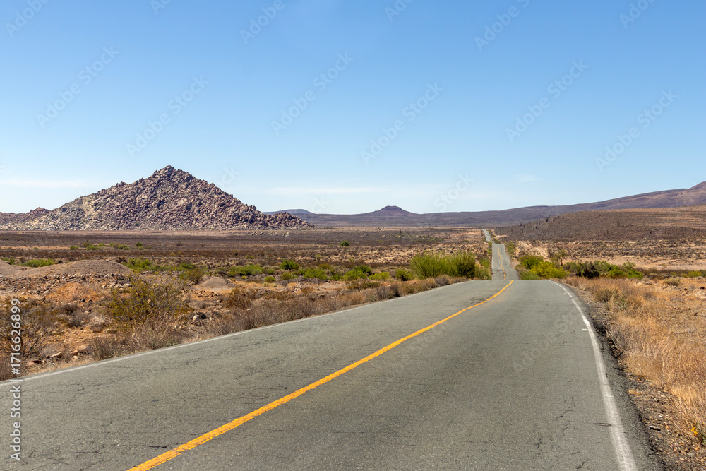 Fototapeta premium Carretera en el desierto de Baja California Sur, México.