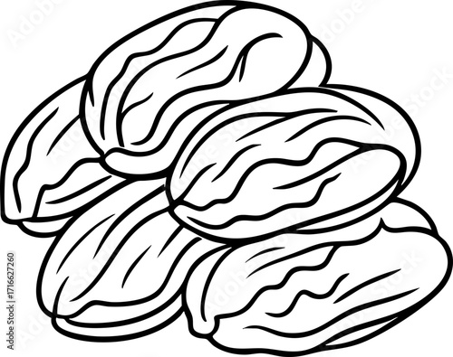 Salted Napa Cabbage Illustration