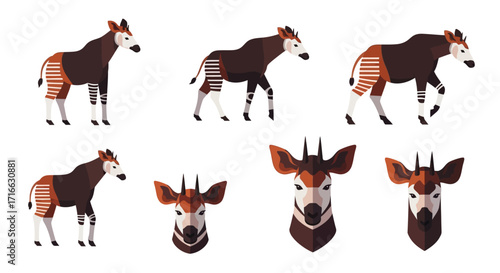 Collection of stylized Okapi illustrations featuring striped legs, various poses, and detailed head portraits.