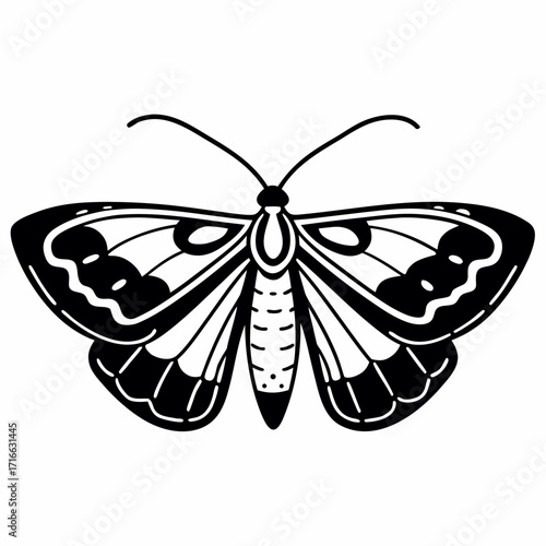Ash whisper moth silhouette on white background