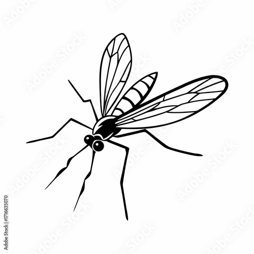 Crystal fang gnat silhouette on white background