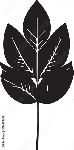 Black and white vector graphic depicting a plant leaf. The leaf has a pointed stem and toothed edges.