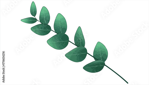 Vector art of a eucalyptus branch with green leaves, showcasing its natural beauty and fresh scent the branch is perfect for decoration, aromatherapy, or herbal medicine