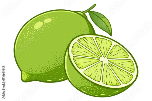 Lime Fruit Vector Illustration – Whole and Sliced Citrus with Leaves