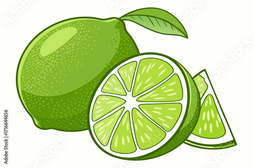 Lime Fruit Vector Illustration – Whole and Sliced Citrus with Leaves