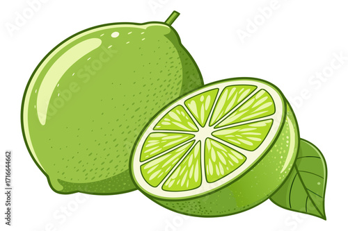 Lime Fruit Vector Illustration – Whole and Sliced Citrus with Leaves