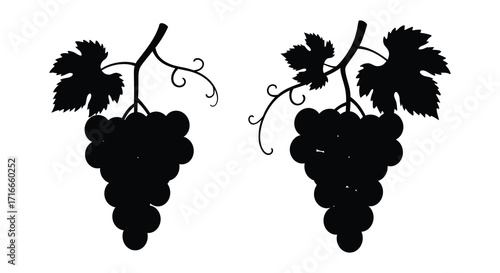Two black silhouettes of grape bunches with twisting vines and leaves