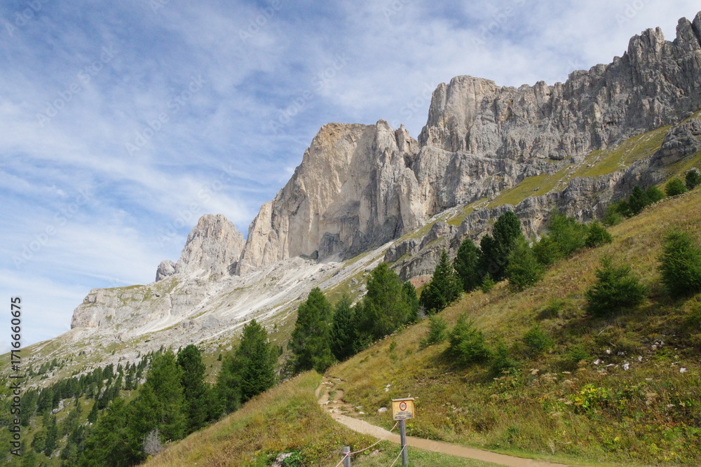Naklejka premium Rosengarten Dolomiten