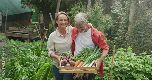 Wallpaper Mural Holding wooden crate with carrots, beets and greens, couple standing in backyard garden near canopy Torontodigital.ca