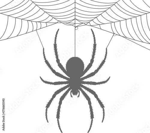Spider and Web Illustration, Isolated Vector Art in Gray Scale on Transparent Backdrop