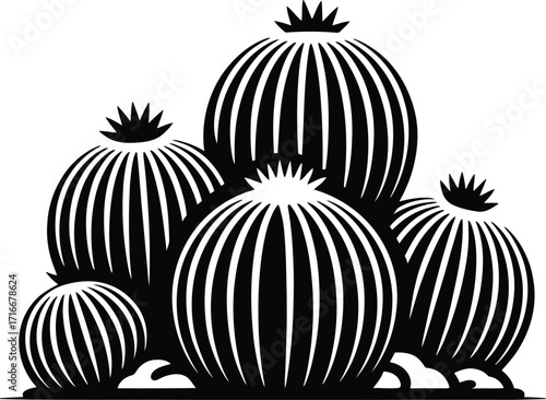 Barrel Cactus Grouping Illustration Isolated Vector Art on Transparent Background Design Element