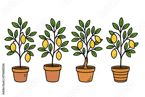 Set of citrus lemon trees in pots. Vector cartoon illustration in a doodle, hand-drawn style. Potted houseplant for home decor. Healthy fruit, gardening concept collection.