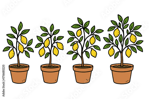 Potted lemon trees vector set. Citrus plant growth stages. Hand-drawn cartoon illustration for home gardening. Houseplant in pot. Doodle style isolated elements.
