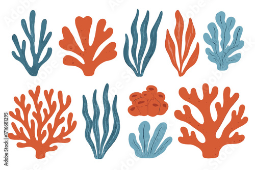 Hand drawn corals and seaweed set. Botanical vector illustration of underwater flora, sea plants. Cartoon naive art clipart collection. Vintage red, blue marine life design elements.