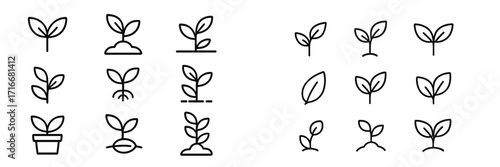 Growing plants vector graphics showcasing various stages of sprout development and types of leaves for illustrative use