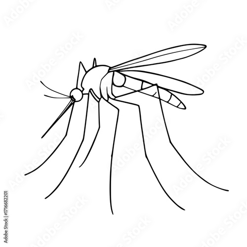Minimalistic line drawing of a mosquito on white background with copy space