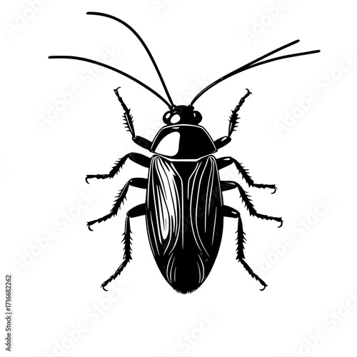 Detailed black cockroach illustration on white background with copy space