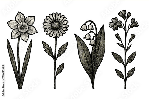 Vintage spring flowers set herbarium in retro dotted halftone style with grain texture, trendy wildflower vector illustration, cartoon botanical design
