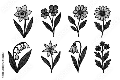 Vintage Spring Flowers Set with Retro Dotted Halftone Texture, Trendy Vector Wildflower Illustrations, Herbarium Style, Grain Effect Botanical Cartoon Elements