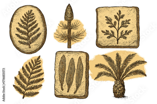 Prehistoric plants and fossils vector set. Ancient flora, fern, and leaf imprints in vintage engraving style. Paleontology, geology, and archeology science illustration.