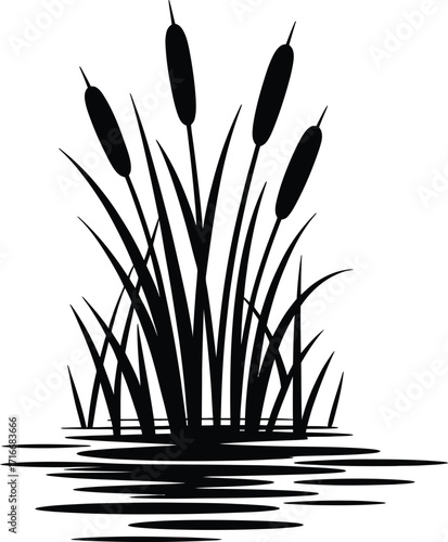 Cattails Illustration Isolated Vector Art Black Silhouette on Transparent Background