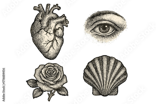 Vintage vector set with human heart, eye, rose, and seashell. Retro engraving illustration with stippling dotwork texture. Grunge photocopy effect for tattoo design.