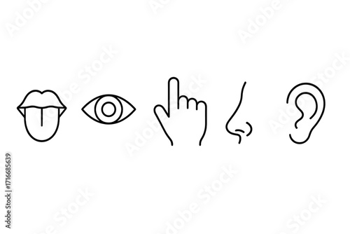 Five senses icon set with taste, sight, touch, smell, hearing symbols. Human sensory perception and experience thin line vector illustration. Minimalist organ pictograms.