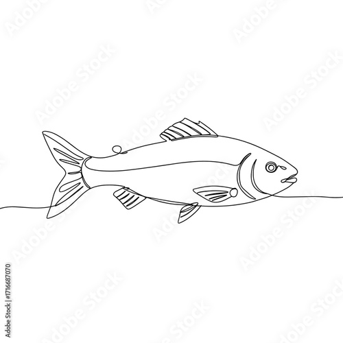 Outline of a fish swimming in the water in a minimalist style  
