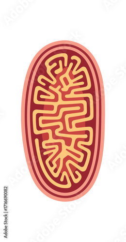 Detailed illustration of a mitochondrion, the powerhouse of the cell, showcasing its intricate internal structure for educational and scientific contexts