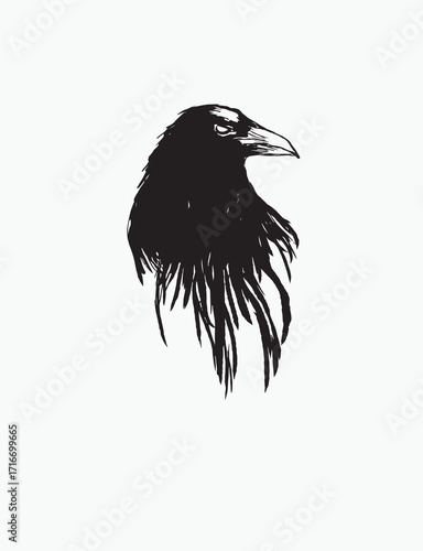 Vector illustration of a raven silhouette in grunge style. Halloween holiday