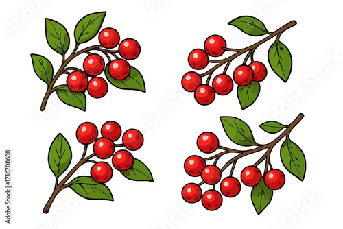 Red berry branches with green leaves vector set. Cartoon holly, mistletoe for Christmas decoration. Winter holiday botanical illustration. Nature design element collection isolated.