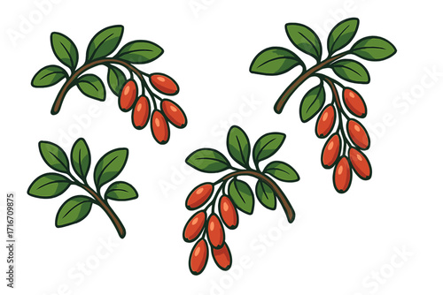 Barberry branch vector cartoon set. Ripe red berries on twigs with green leaves. Botanical illustration of Berberis plant. Natural sour berry for healthy food, jam or cosmetics.