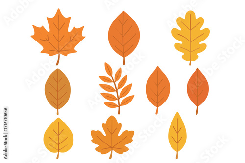 Big set of colorful autumn leaves. Fall leaf icon collection. Flat vector cartoon illustration. Seasonal forest foliage elements like maple, oak for graphic design isolated.