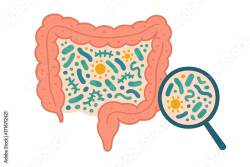 Gut microbiome concept. Human intestine with flora. Healthy probiotic bacteria. Digestive system organ. Colon microbiota analysis. Flat vector medical biology illustration.