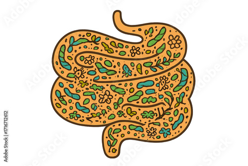 Healthy gut concept with abstract intestines shape. Hand drawn vector illustration of gut flora, microbiota and probiotics. Anatomy of digestive system with ornate pattern.