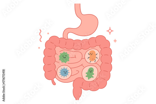 Healthy gut flora concept. Good bacteria in intestine. Digestive system, gastrointestinal tract with microbiome, probiotics. Lactobacillus, bifidobacterium cartoon vector.