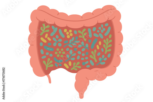 Gut health. Microbiome concept. Human digestive system. Intestine with healthy probiotic bacteria pattern. Internal organ. Good flora inside. Digestion illustration. Vector cartoon.