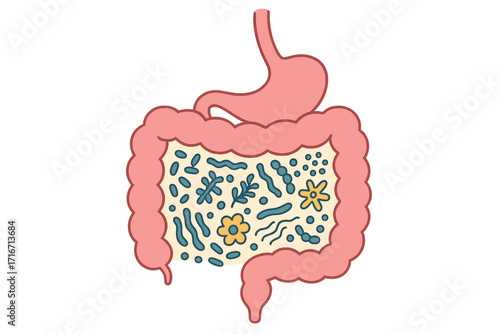 Human gut and stomach with healthy probiotic bacteria. Intestine digestive system with microbiome. Medical vector illustration of flora, bifidobacterium, prebiotic. Digestion.