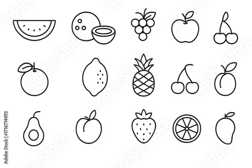 Watermelon coconut grape and various fruit outline icons collection. Editable stroke linear minimalistic design. Simple linear pictogram set for cards apps banners healthy food tropical fruits