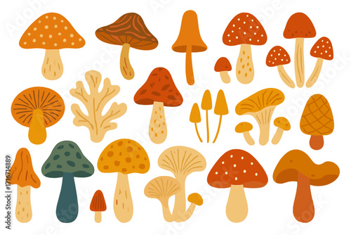 Mushroom set vector illustration. Big collection of cute cartoon fungi. Hand drawn flat design icons. Autumn forest elements. Toadstool, amanita, chanterelle natural food.