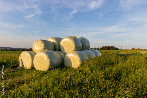 Photography Stacked hale bales wrapped in plastick on meadow grass at farm.
