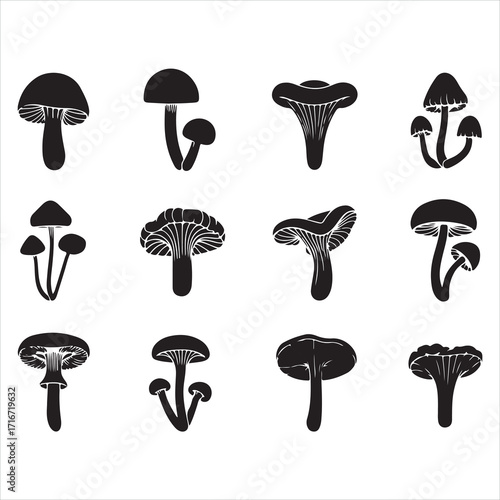 A cartoon vector set of edible mushrooms and toadstools in the forest