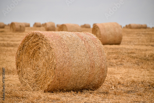 Hay rolls