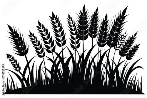 Black Silhouette of Wheat Field with Tall Grass Graphic Illustration Vector
