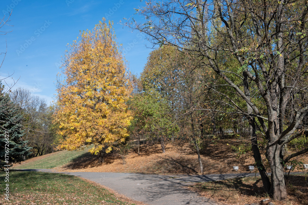 Fototapeta premium Landscape of South Park in city of Sofia, Bulgaria