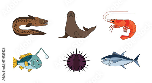 Collection of marine animals including a seal, eel, shrimp, anglerfish, sea urchin, and tuna, isolated on white background