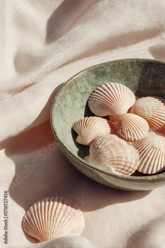 seashells in a bowl
