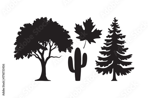 Silhouettes of diverse trees and a cactus