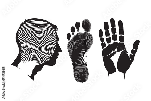 Human identification fingerprint footprint and handprint silhouettes