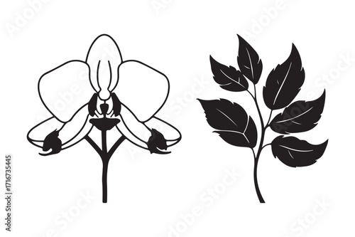 Black and white line art of an orchid flower and a leafy branch